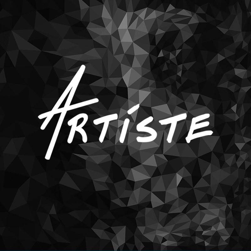 Photo représentant la catégorie SERIE ARTISTE